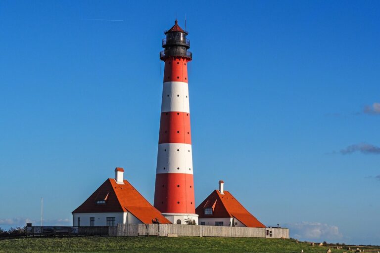 Observationsguide til Vadehavet